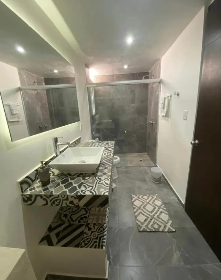 Mid-498 Centro Apartment Merida